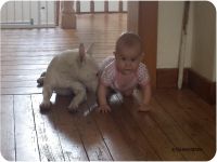 Amira & Eve 